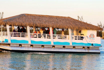Magic Dolphin II Boat