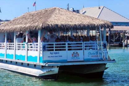 Magic Dolphin II Boat