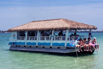 Magic Dolphin II Boat