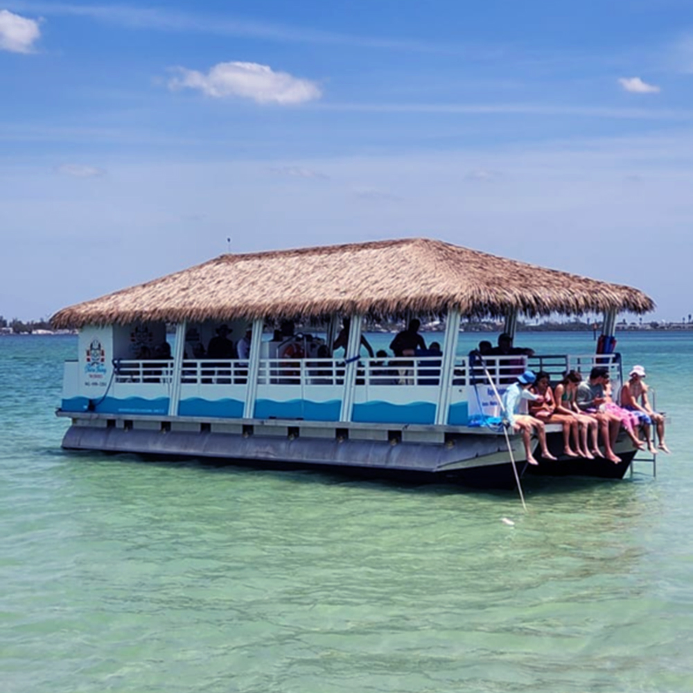 Magic Dolphin II Boat